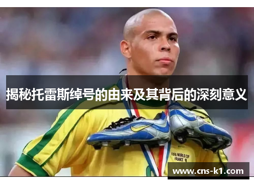 揭秘托雷斯绰号的由来及其背后的深刻意义