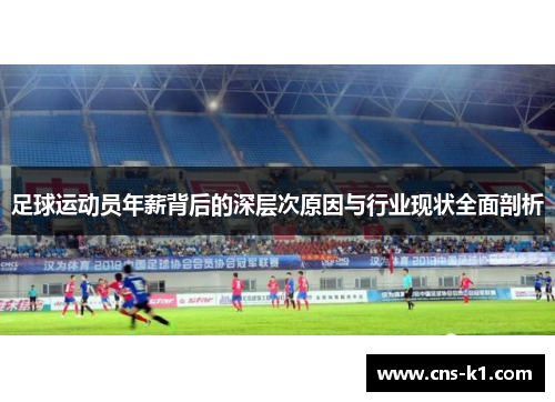 足球运动员年薪背后的深层次原因与行业现状全面剖析