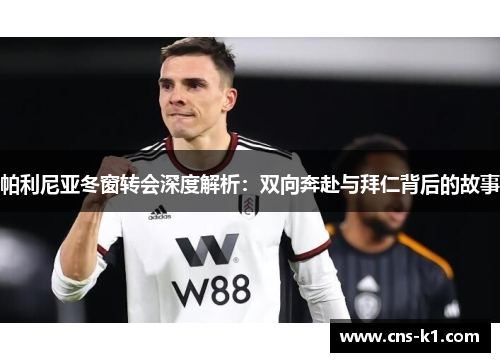 帕利尼亚冬窗转会深度解析：双向奔赴与拜仁背后的故事